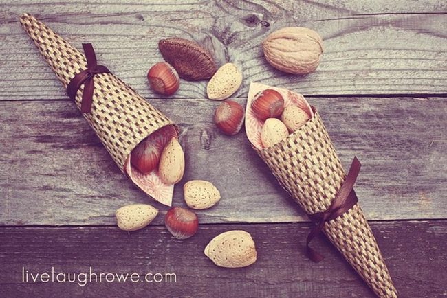 Brown Nuts On Wood