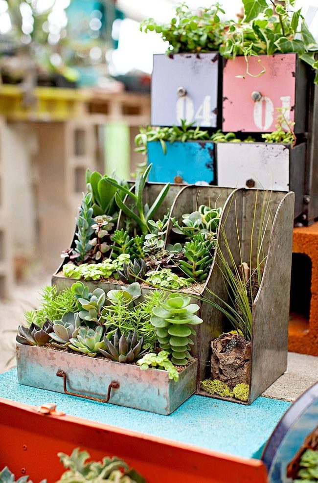 Weathered Wood Succulent Drawer