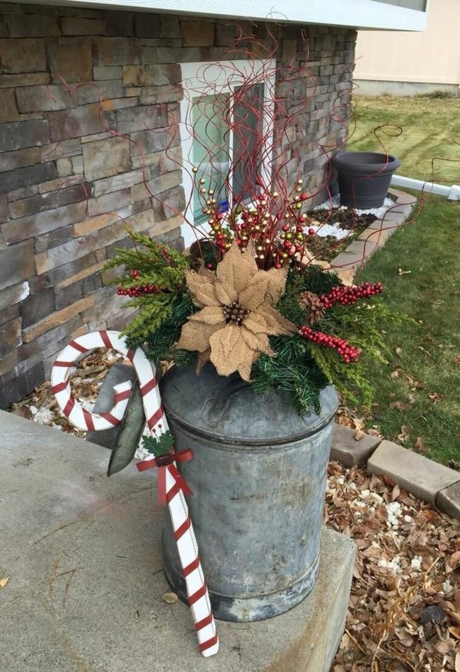 Red Poinsettias In Vintage Milk Can