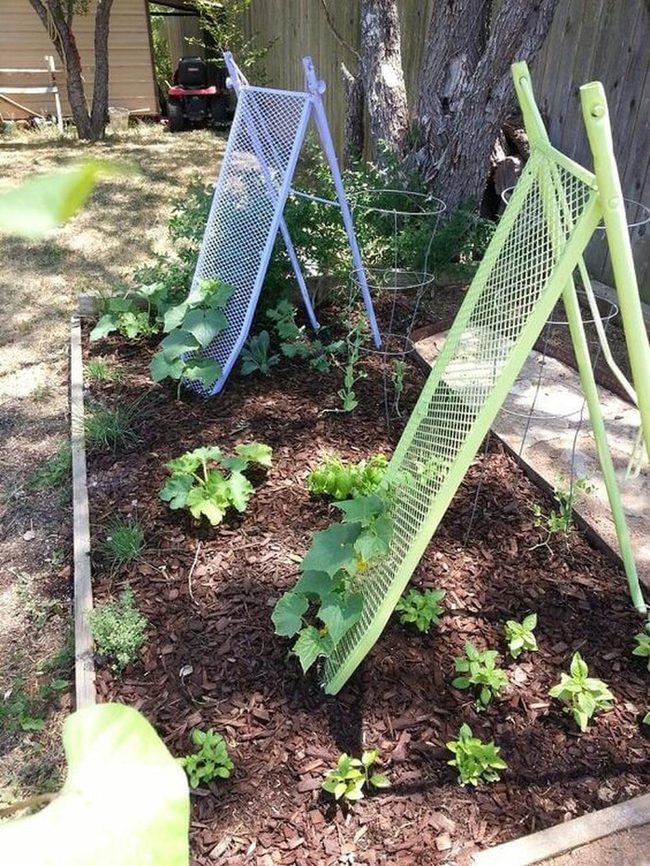 Colorful Racks, Vertical Garden