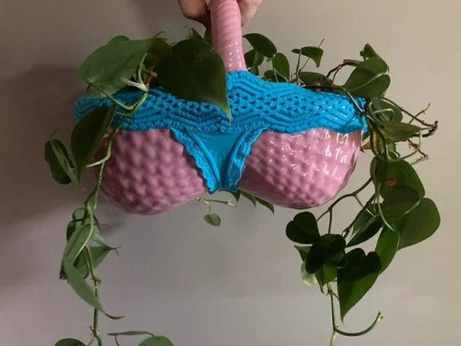 Quirky Bra Planters For Succulents