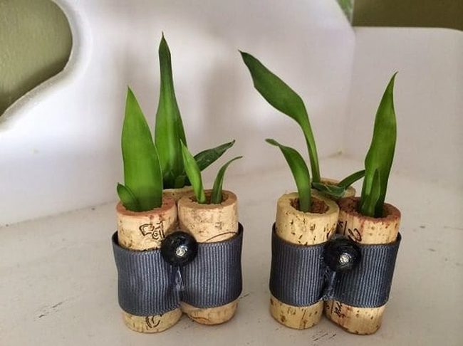 Recycled Cork Succulent Planters