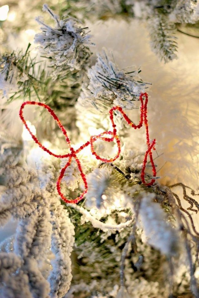 Frosted Pine With Red Joy