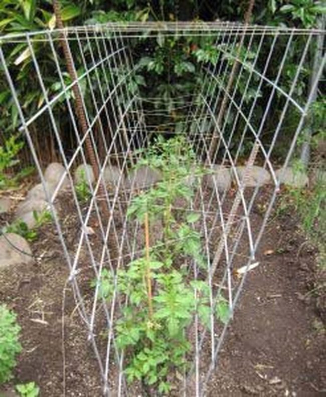 Linear Tomato Cage System