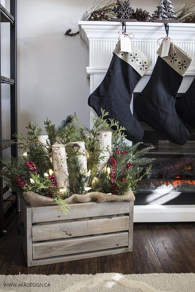 Birch Logs And Evergreen Crates