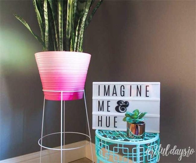Green Plant Pink Glow