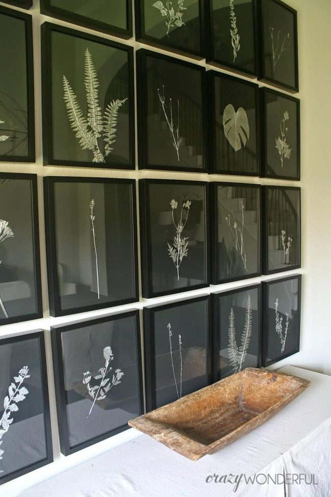 Pressed Botanical Wall Gallery