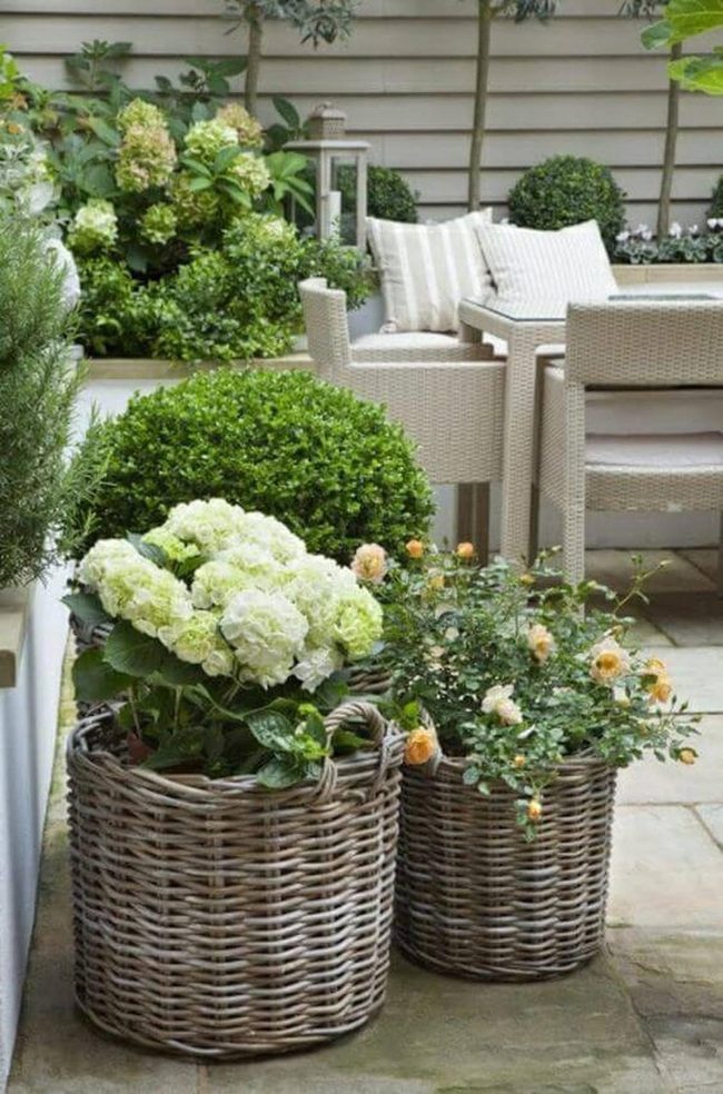 Green Plants And Woven Baskets