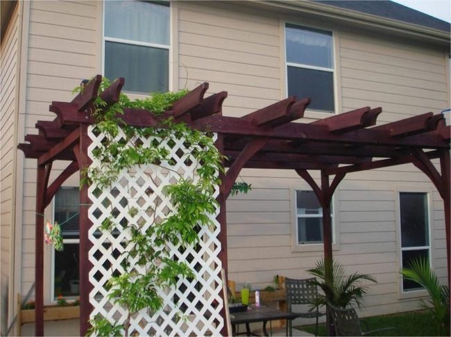 Dark Wood Pergola With Climbing Vines