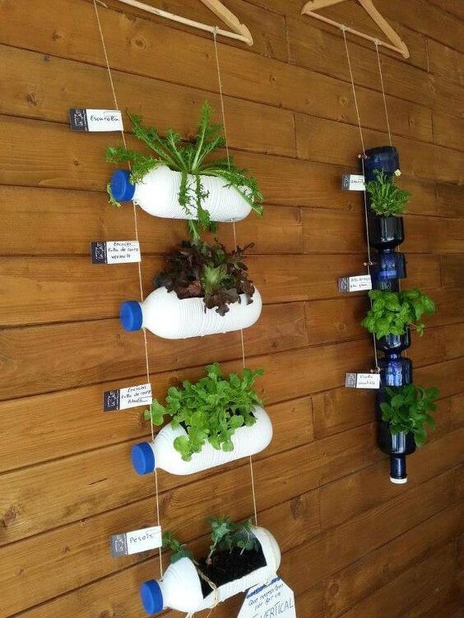Colorful Recycled Bottle Gardens