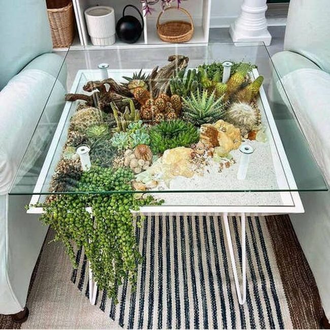 Green Succulent Table Landscape