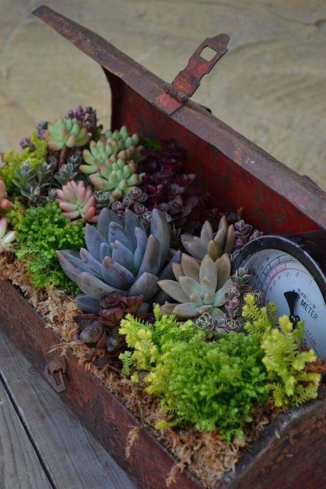 Rust And Succulents Industrial Planter