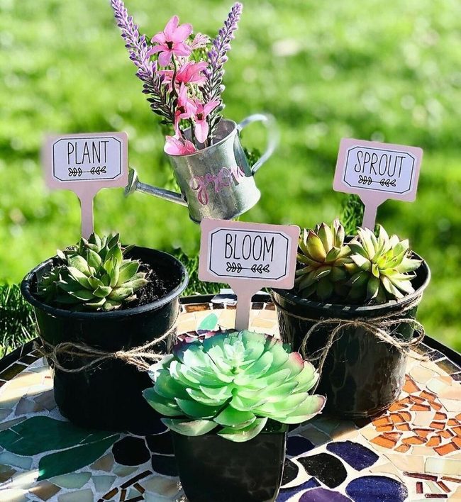 Tiny Green Conversation Starters