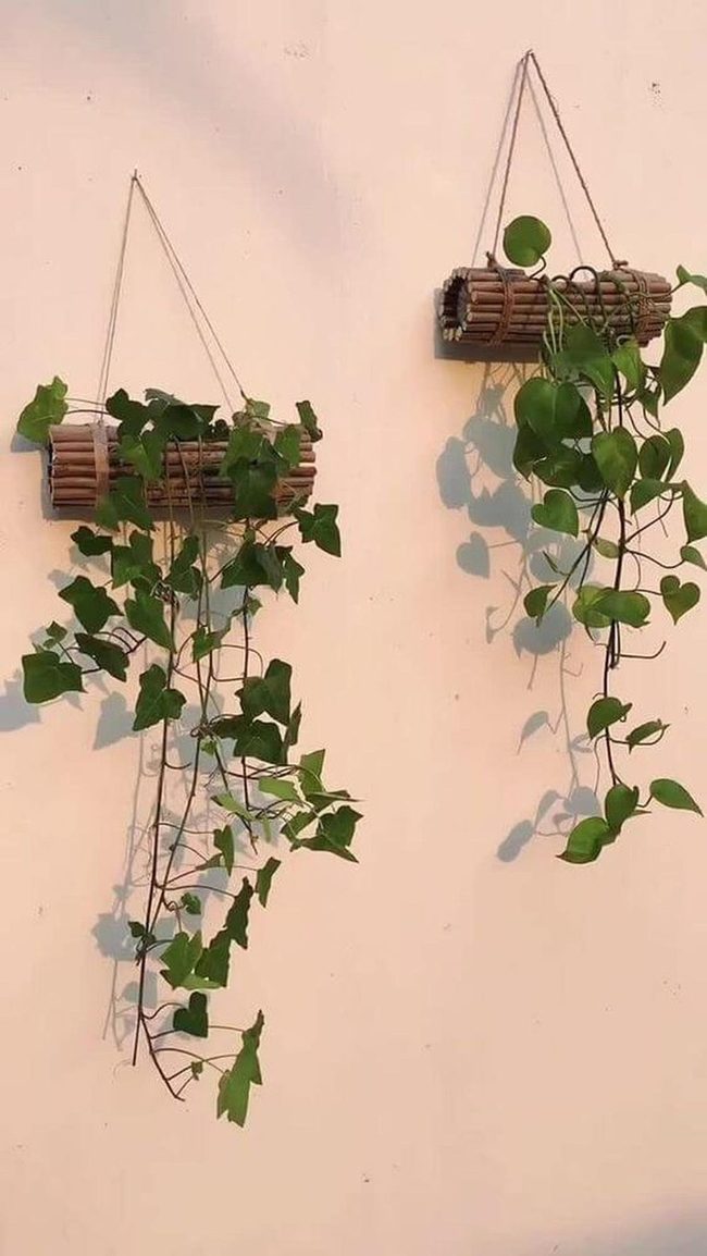 Cascading Green Wall Gardens