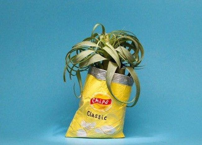 Metallic Snack Bags, Living Plants