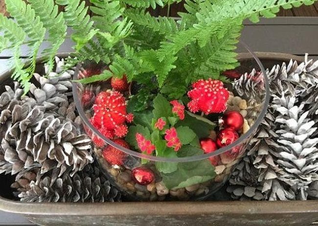 Glass Terrariums With Festive Woodland Layers