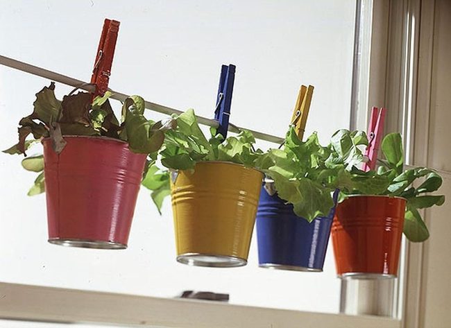 Clothespin Ceramic Herb Display
