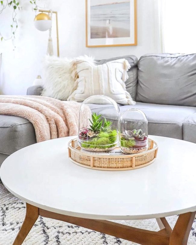Glass Terrariums With Budget Greenery