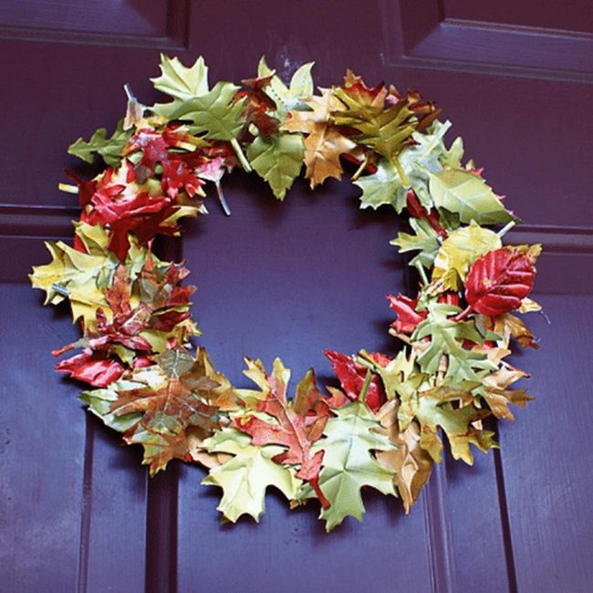 Crimson Leaves Purple Entrance