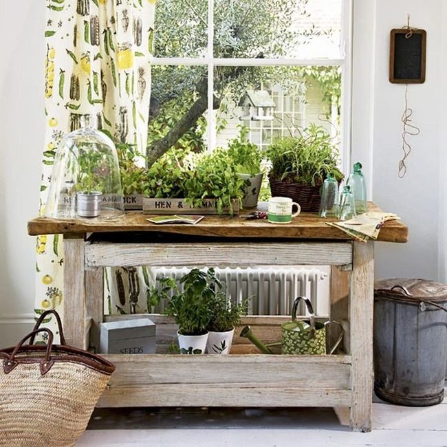Green Herb Kitchen Windows