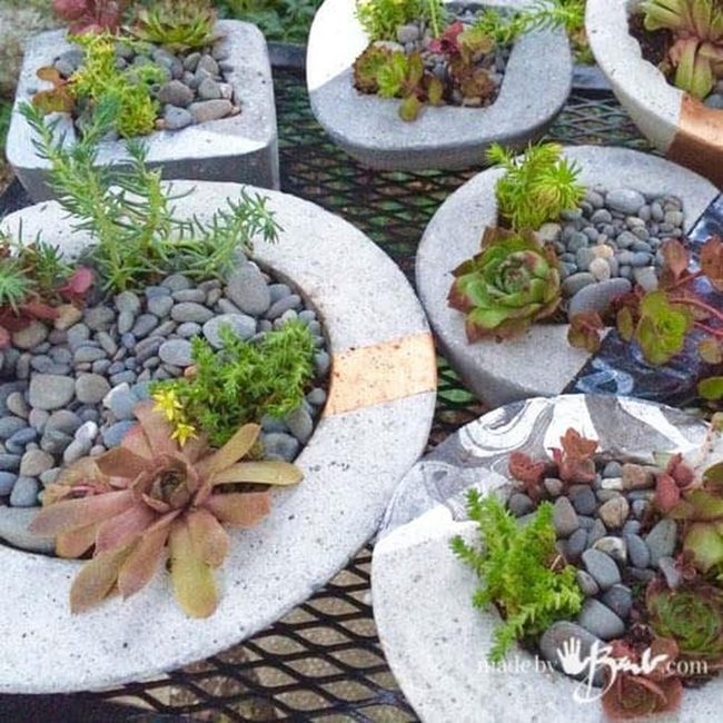 Concrete Bowl Planters Diy