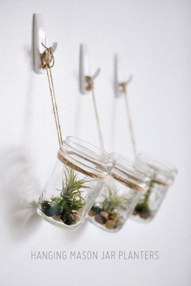 Hanging Glass Jars Green Wall