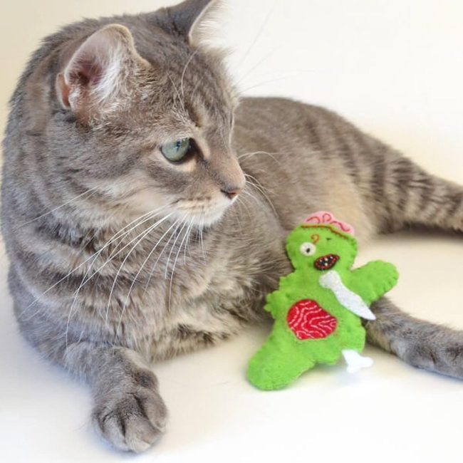 Gray Tabby With Emerald Eyes