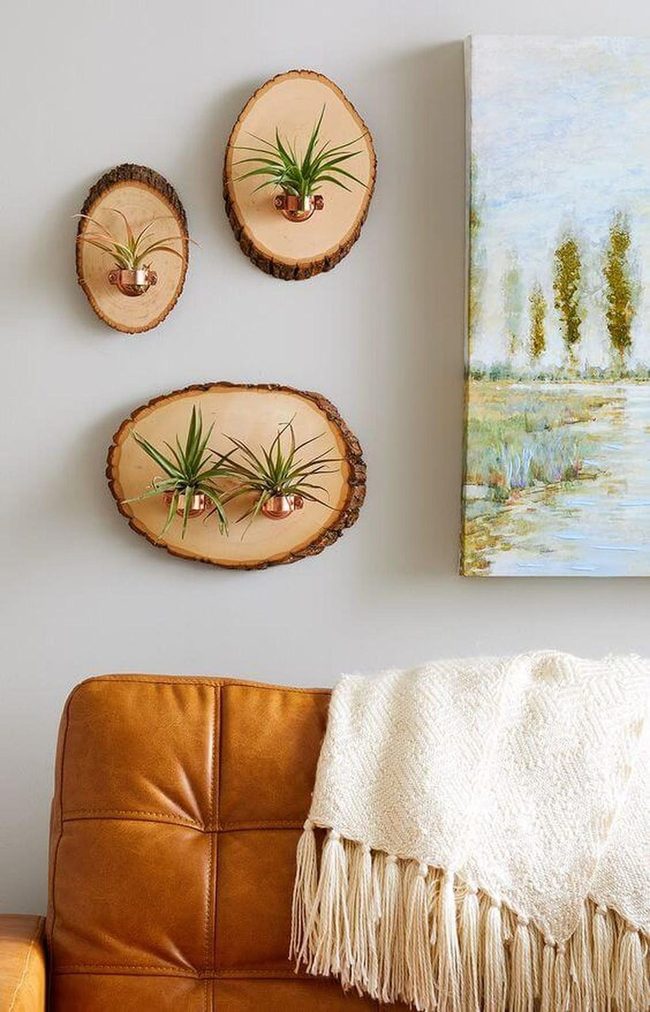 Wooden Discs Living Wall