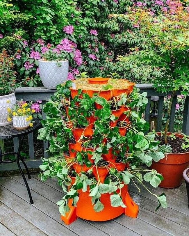 Bright Orange Strawberry Tower