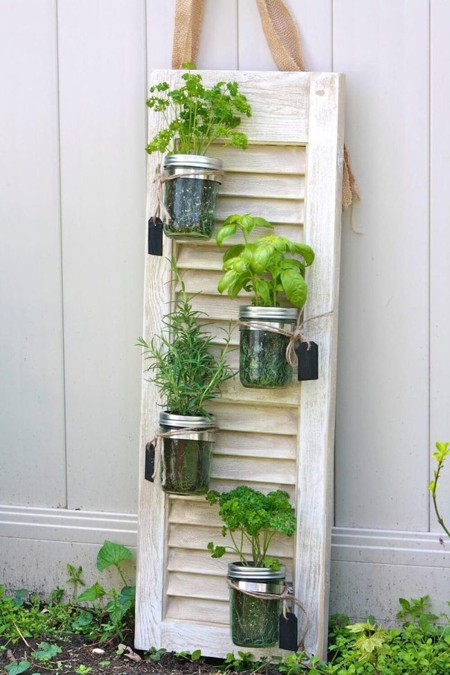 Green Herb Wall Garden