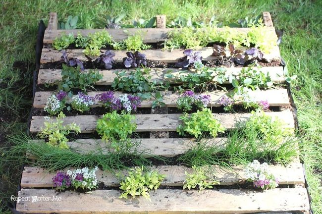 Pallet Garden Compact Green