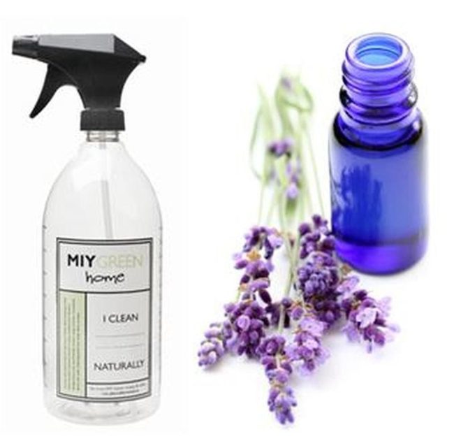 Blue Glass Botanical Cleaners