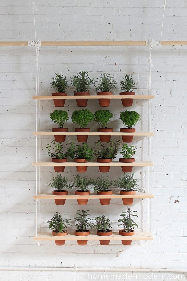 Green Plants On White Rope Shelves