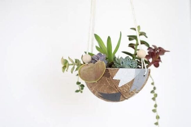 Hanging Coconut Shell Planters