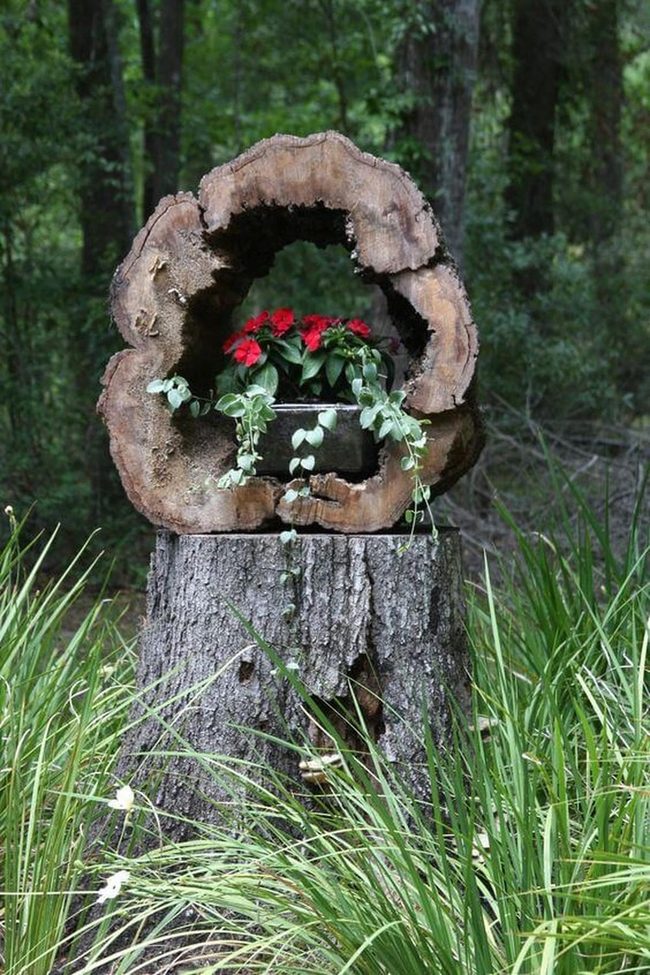 Tree Stump Planter With Blooms