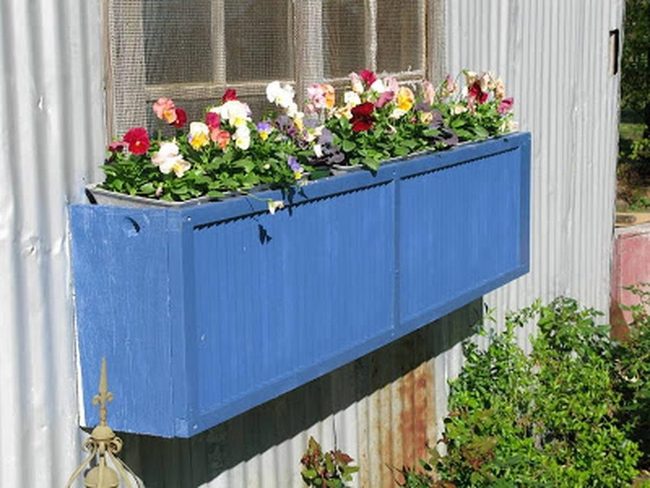 Shuttered Pet Portrait Planter