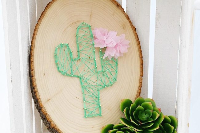 Green Thread Cacti On Wood
