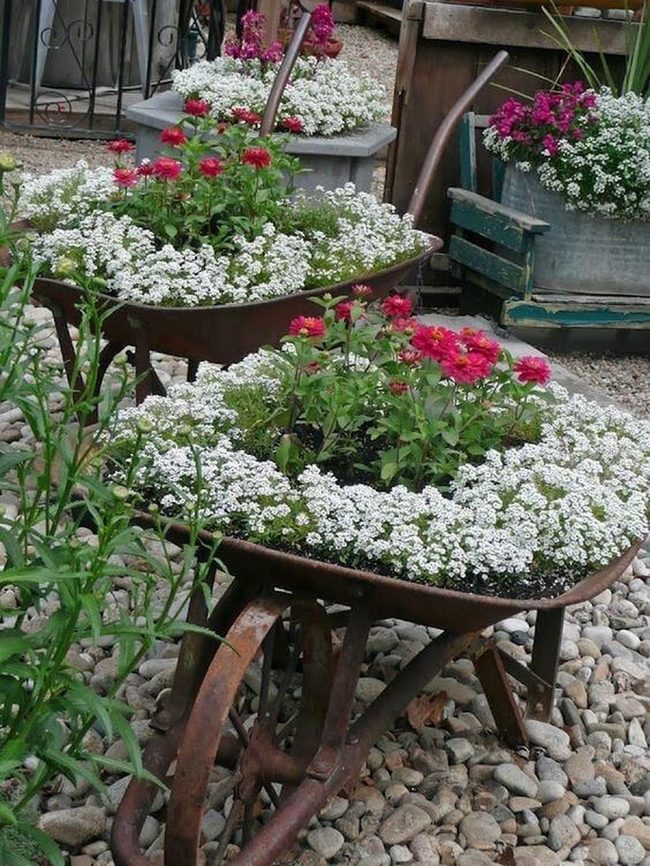 Weathered Metal Wheelbarrow Planters