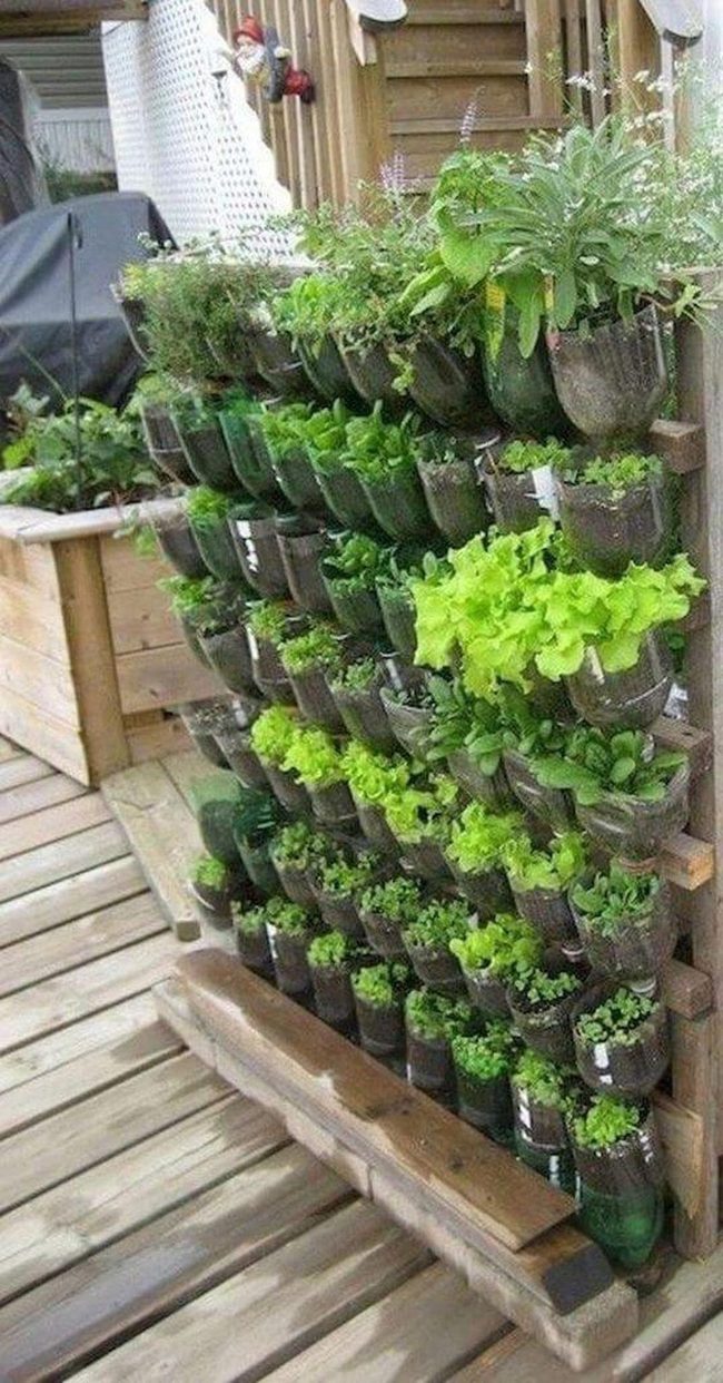 Green Walls From Recycled Bottles