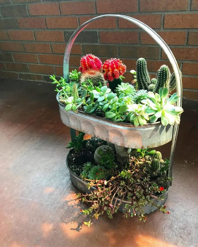 Layered Succulents, Silver Metal
