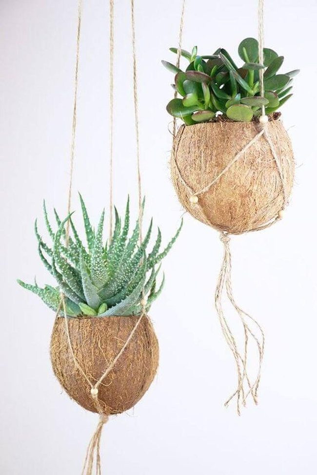 Green Rope Succulent Planters