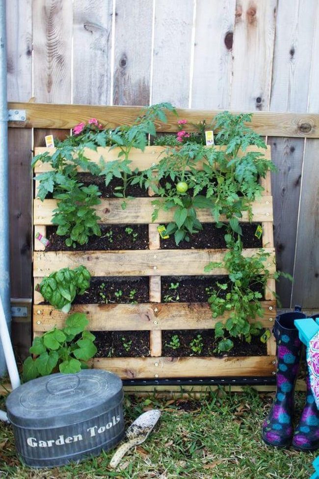 Living Wall Herb Garden