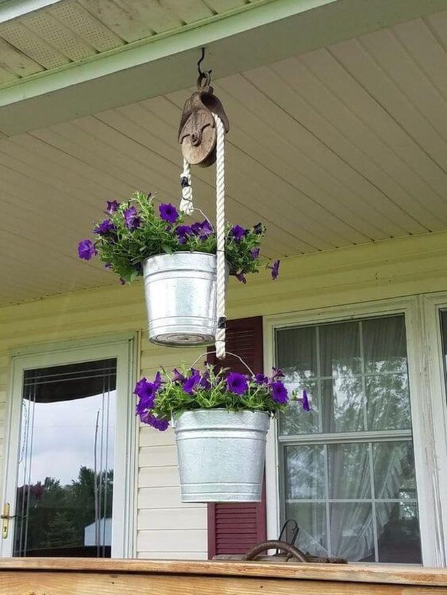 Purple Petunias In Metallic Containers