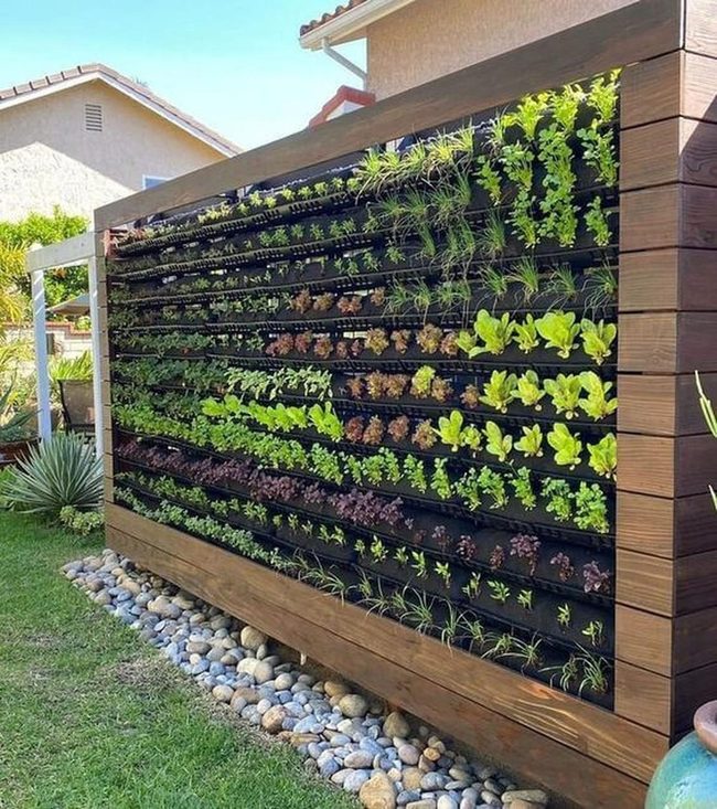 Green Vertical Garden Living