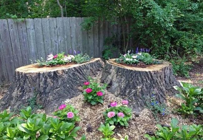 Green Gap Garden