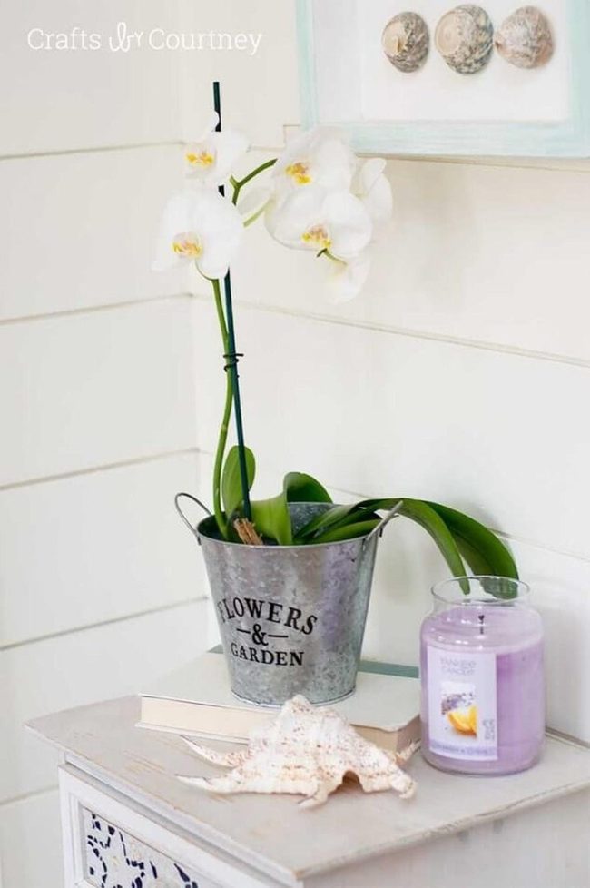 Painted Metal Bucket Planter