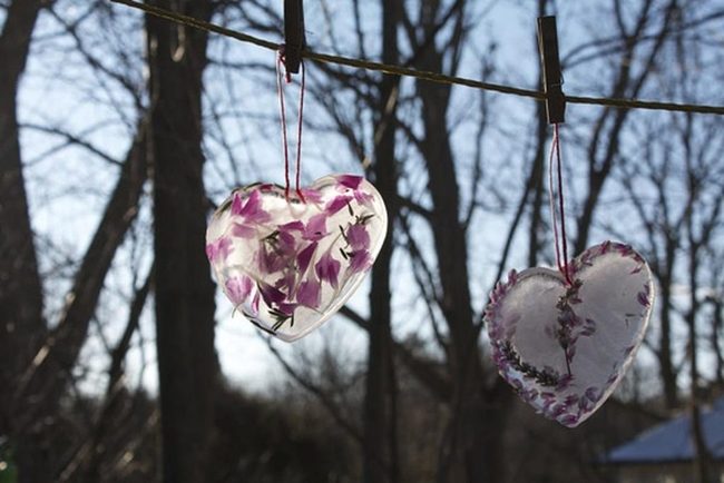 Purple Wildflowers In Clear Resin