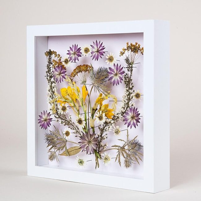 Yellow Blooms Purple Star Frame