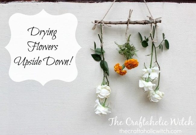 Inverted Botanical Strings