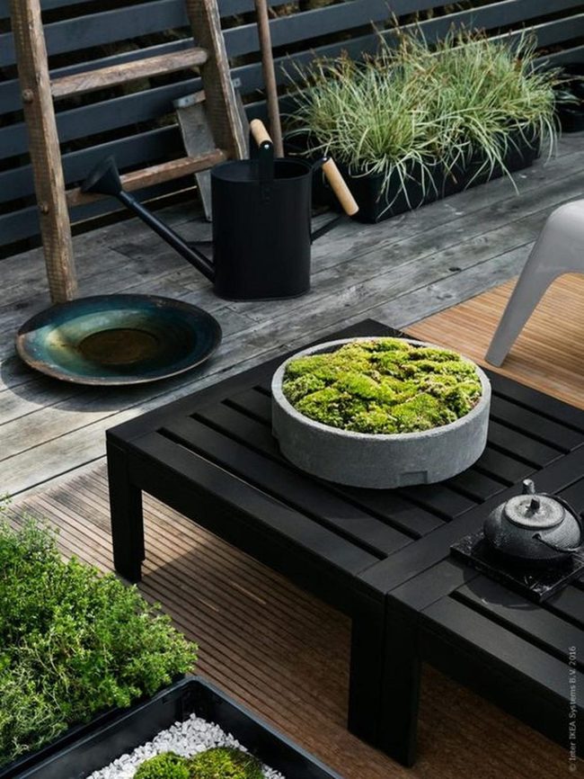 Gray Wood Planks Green Oasis